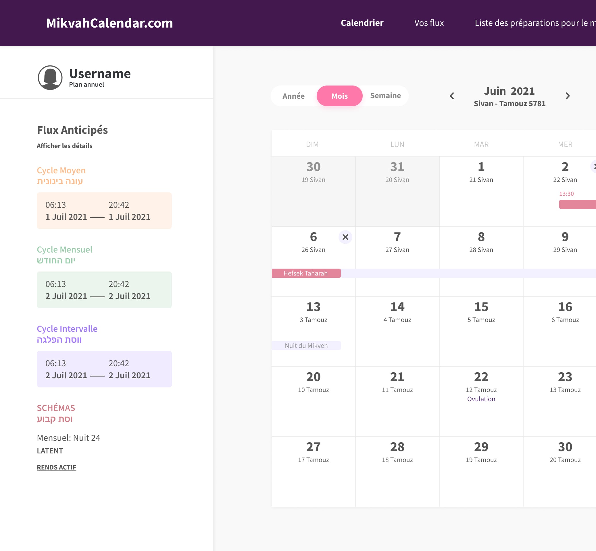 section design image